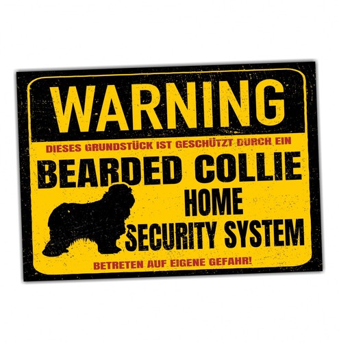 Bearded collie beardie dog - beardie,