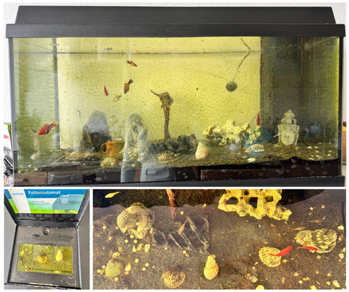 Komplettes aquarium gebraucht - komplettes,
