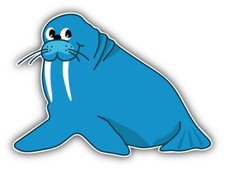 Car sticker walrus animal