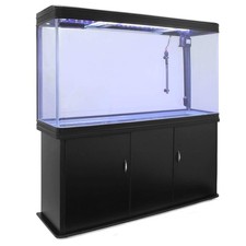 Aquarium - aquarium, &
