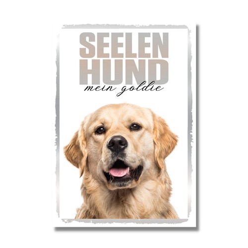 Golden retriever seelenhund - golden,
