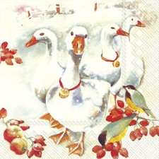 VIER GÄNSE & VÖGEL