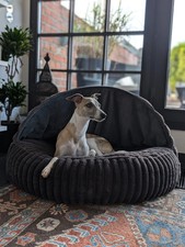 Orthopädisches rundes