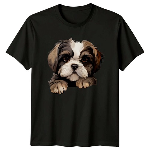 Shih tzu hunderasse haustier - tzu,