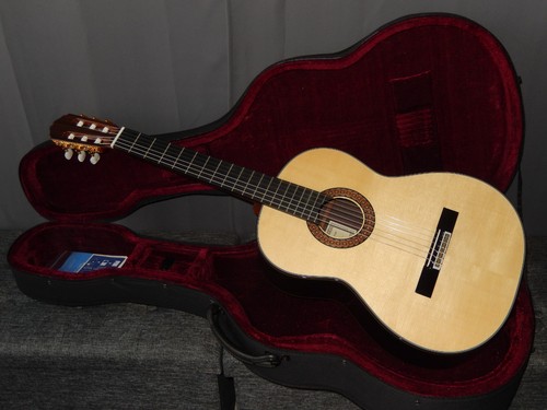 Made 2022 takamine 200fh - takamine,