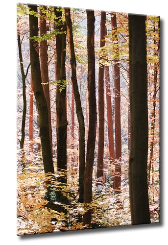 Leinwand bild kunst - bild,