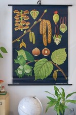 VINTAGE | SCHULWANDKARTE