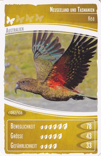 Netto ozeanien - ,