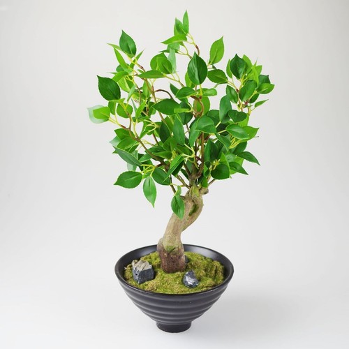 Ficus kunstblume grün mit - ficus,