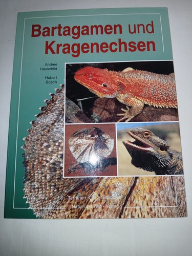Bartagamen und kragenechsen - bartagamen,