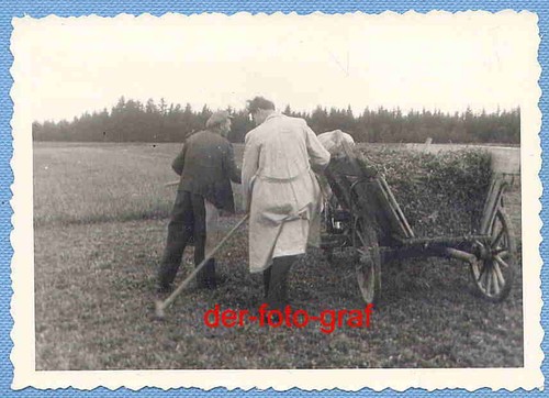 Foto alte landwirtschaft - foto,,