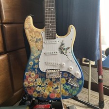 E-Gitarre Floral Custom Art Korpus Selten Sammlerstück