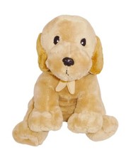 Labrador beige hund - beige,