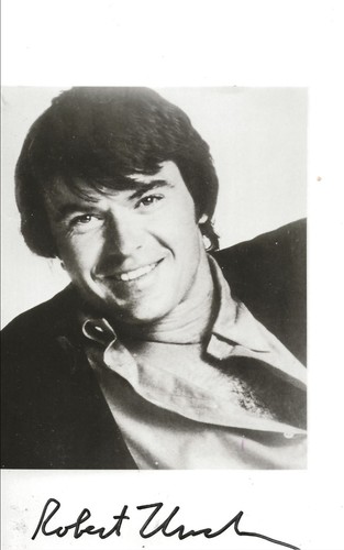 Robert urich spielte dan - robert,