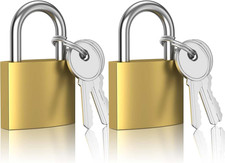 2 Stück Vorhängeschloss 32mm gleichschließend mit 6 Schlüssel für Koffer Garten