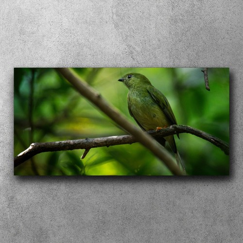 Canvas bild leinwand bilder - canvas,