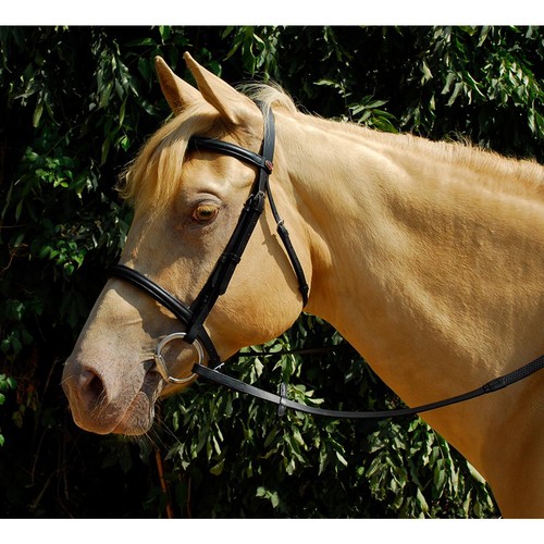 Sts economy leder - economy,