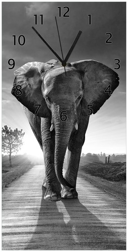 Wallario wanduhr elefant - wallario,
