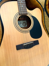 Levin W19 CE NS 6-saitige