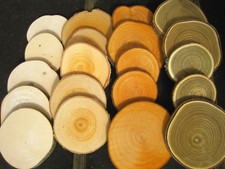 Bastelset Holzscheiben  Holz