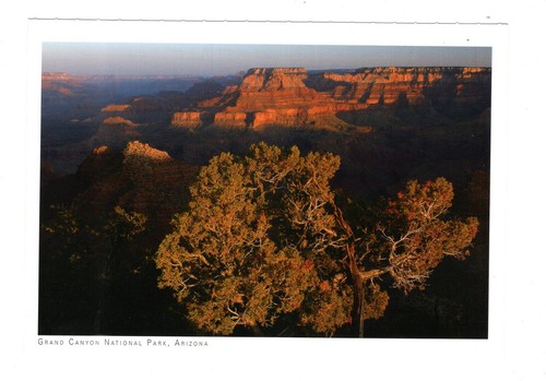 Ansichtskarte grand canyon - grand,