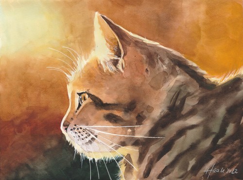 Original aquarell getigerte - original,