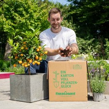 Zitruserde Spezialerde 60L