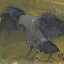 Unbekannt flatternde Krähe