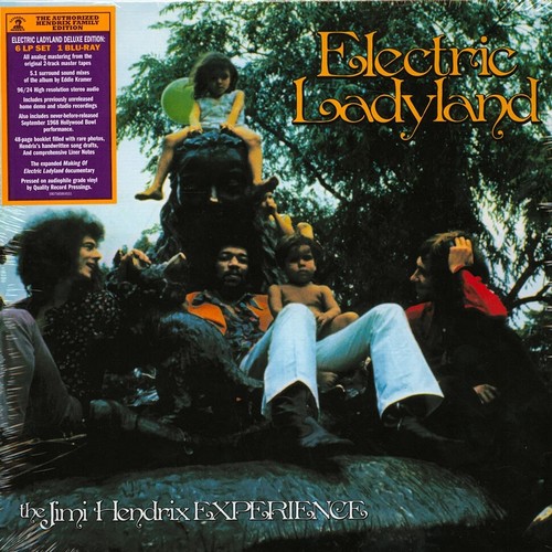 The jimi hendrix experience - the,