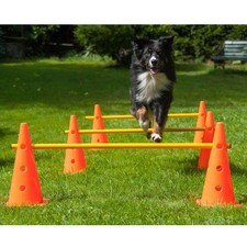 Dog Agility 3er Set