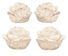 dekorative Blüte Rosenblüte