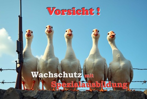 Blechschild alu bedruckt - blechschild,