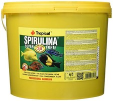 Tropical spirulina super forte - spirulina,