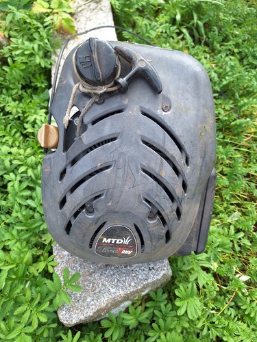 Motor mtd thorx ohv - motor,