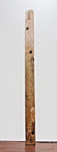 Treibholz schwemmholz xxl - , 1