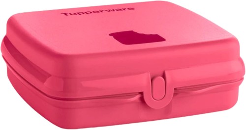 Tupperware sandwich box - tupperware, sandwich-box