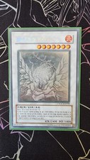 Yugioh Karte schwarzer Rosendrache Ghost Rare Koreanisch