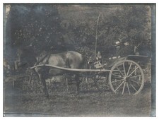 XX2752/ Kutsche Einspänner