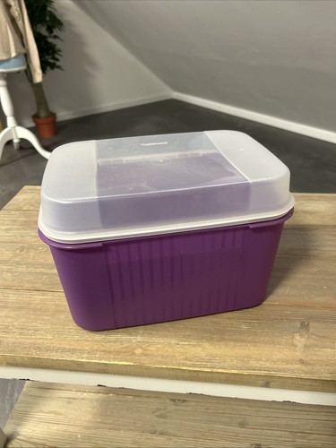 Tupperware schatztruhe l - tupperware,