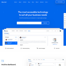 Software Agentur Website