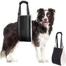 Hund tragehilfe - hund,
