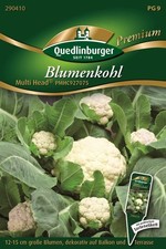 Blumenkohl Multi Head auch