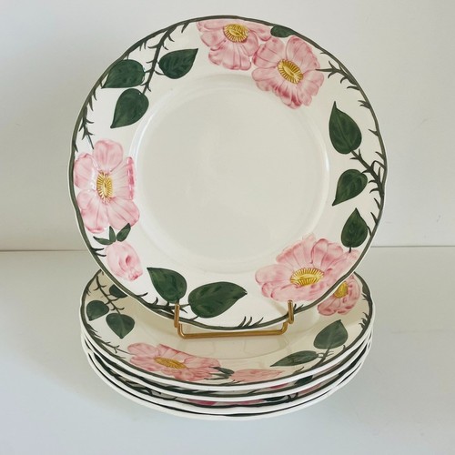 5er set wild rose teller - wild, von