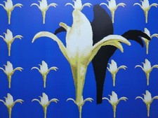 Eva Ruhland - Französische