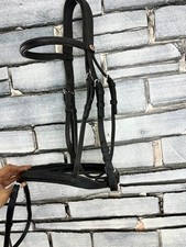 S/H Full Size Zaldi Anatomic