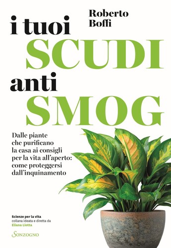 Buch roberto boffi deine - -,