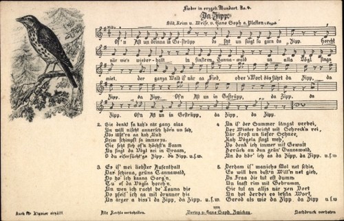 Lied soph hans da zipp - lied,
