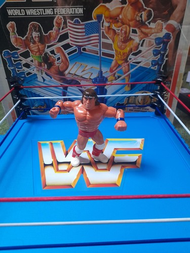 Wwf hasbro wrestlingfigur - wwf,
