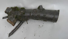 Kirschbaum / Pflaumenbaum