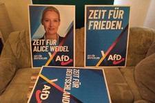 Original AfD Wahlplakate 2025